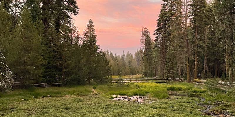 Camper submitted image from Domingo Springs Campground