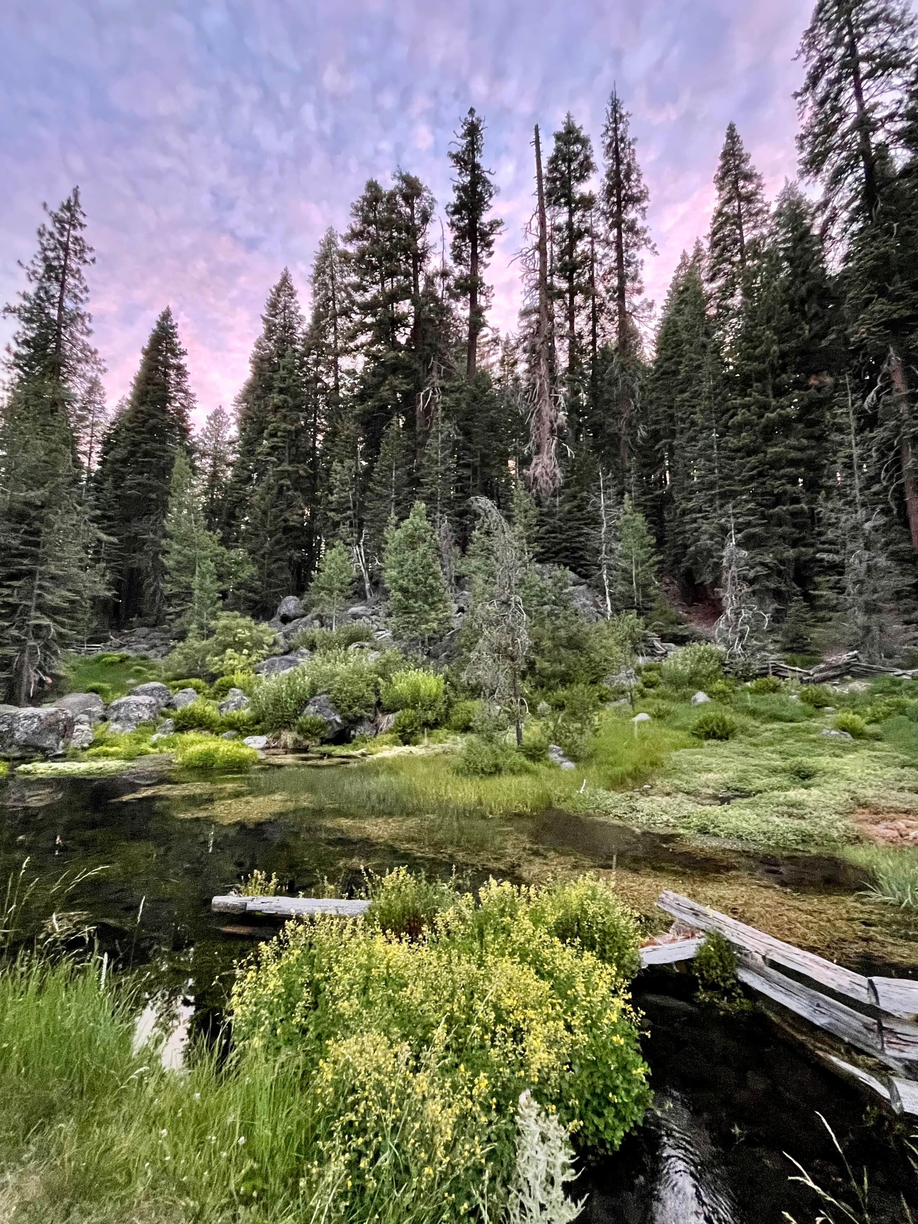 Camper-submitted photo at Domingo Springs Campground near Chester, CA