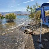 Review photo of Boulder Beach Campground — Lake Mead National Recreation Area by T K., June 30, 2021