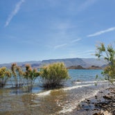 Review photo of Boulder Beach Campground — Lake Mead National Recreation Area by T K., June 30, 2021