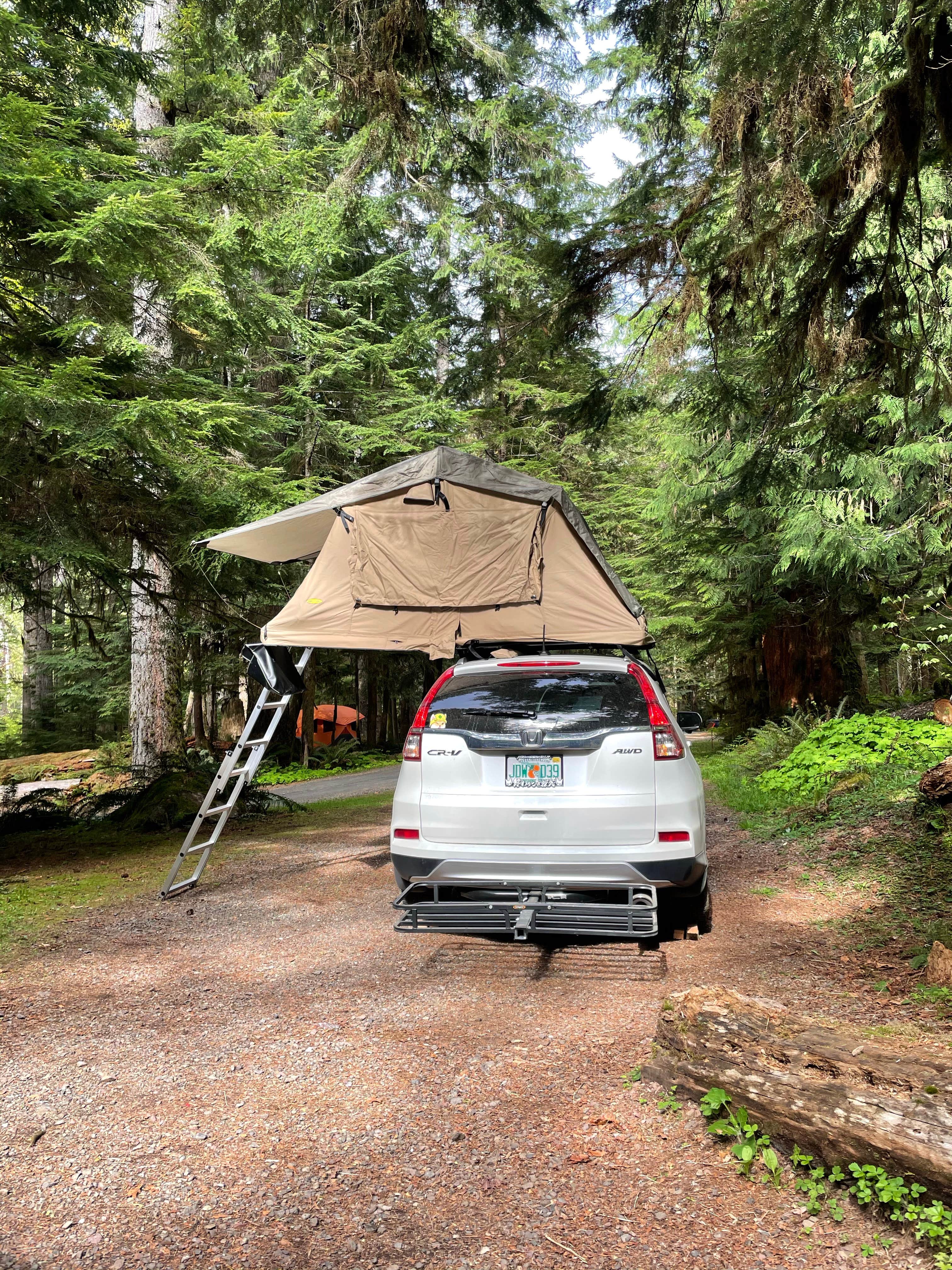 Xavier D.'s photo at Staircase Campground — Olympic National Park near Matlock, WA
