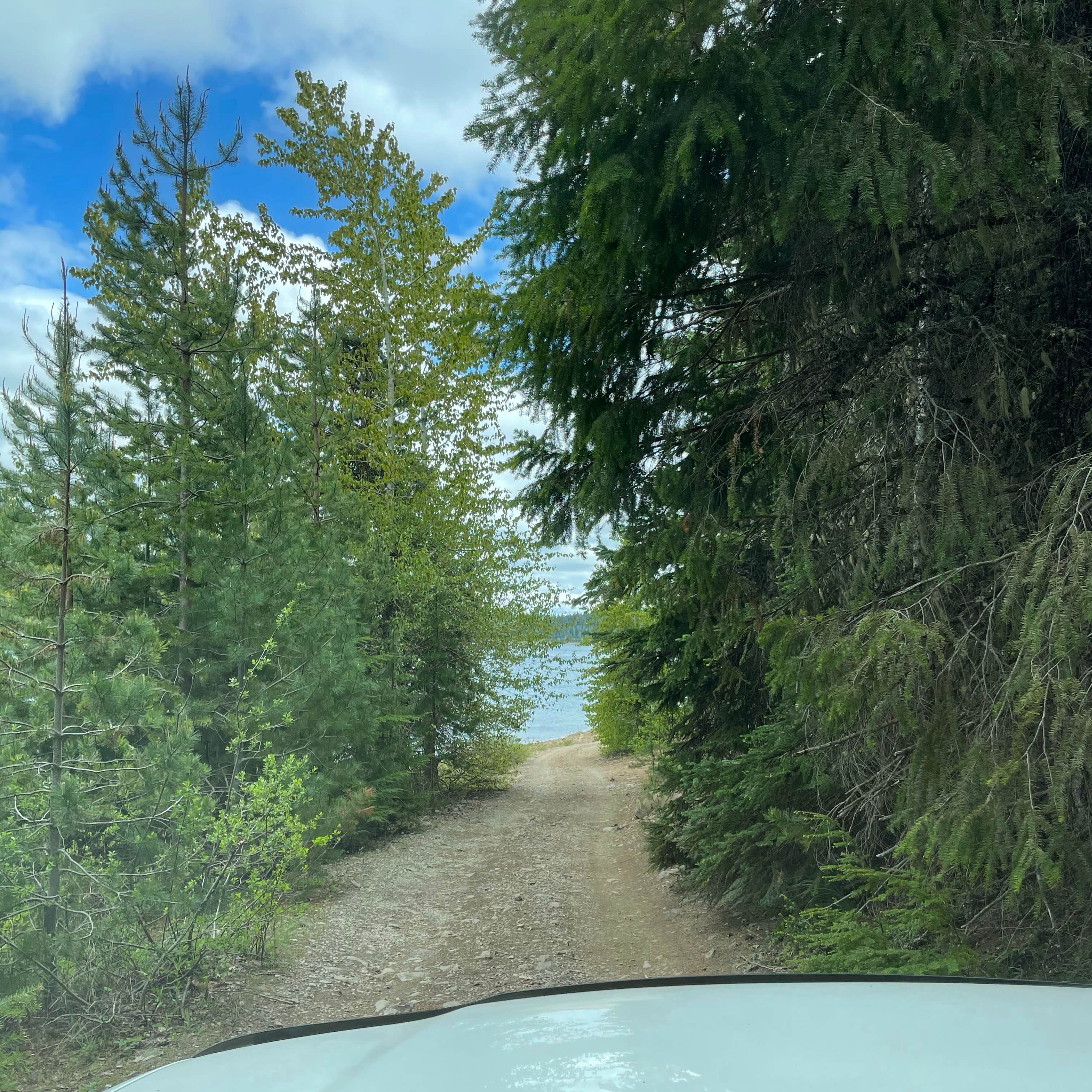 Mount Hood National Forest Clear Lake Campground Camping The Dyrt