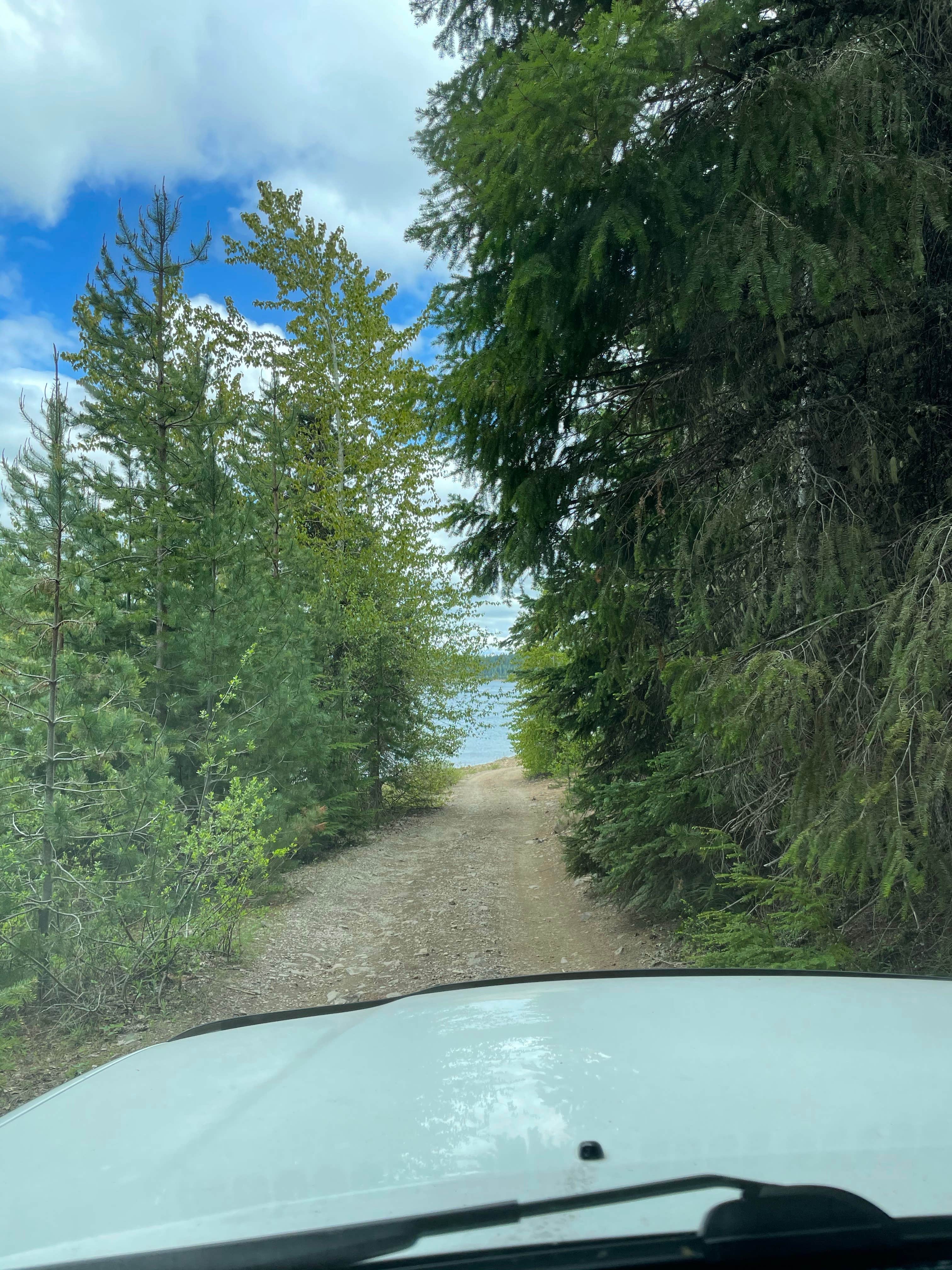 Camper submitted image from Mount Hood National Forest Clear Lake Campground - 3