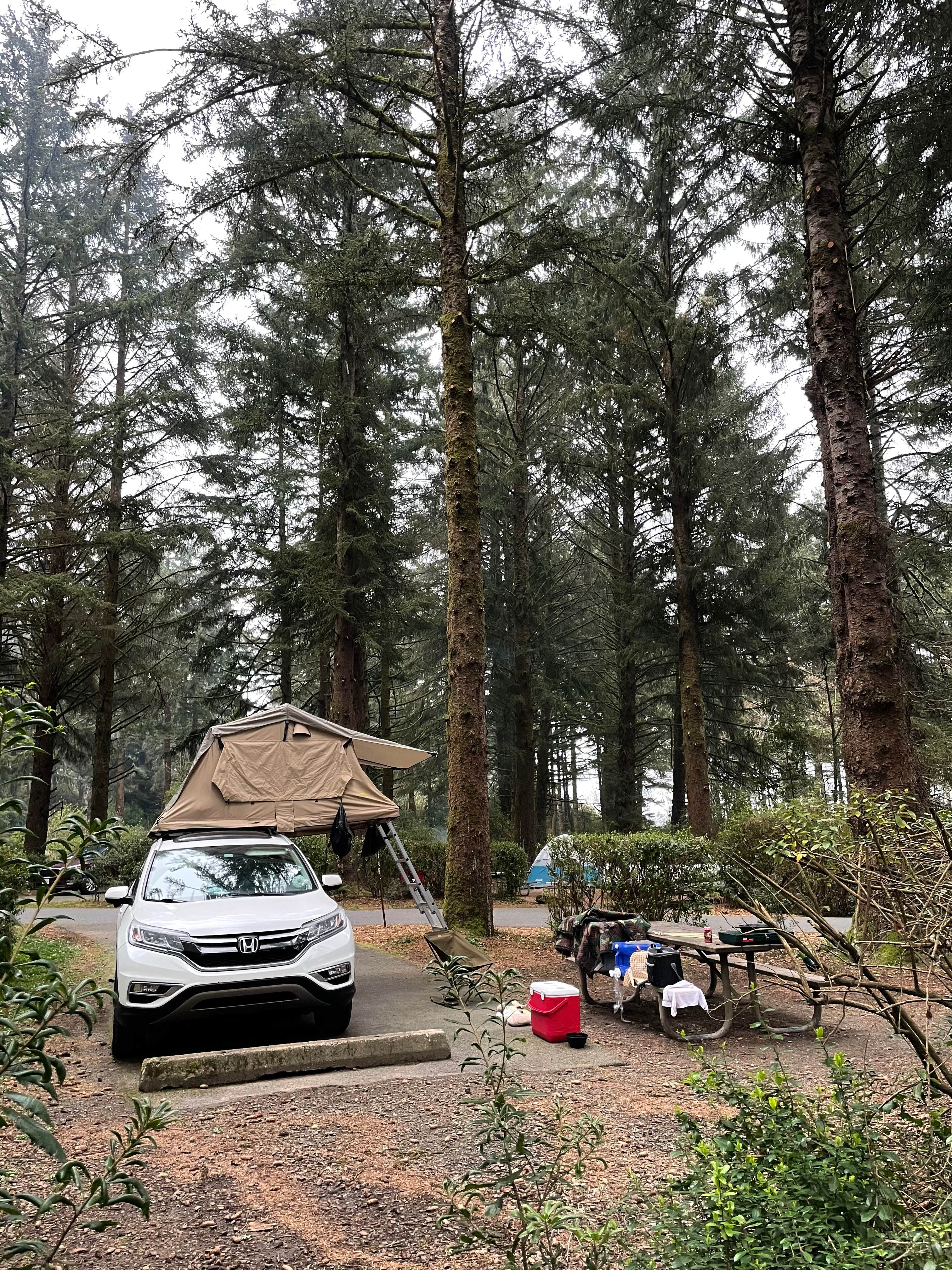 Xavier D.'s photo at Harris Beach State Park Campground near Brookings, OR