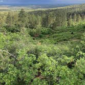 Review photo of Madden Peak Road - Dispersed by Chris C., July 7, 2021