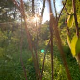 Review photo of Merry Meadows Recreation Farm by Brian S., July 7, 2021