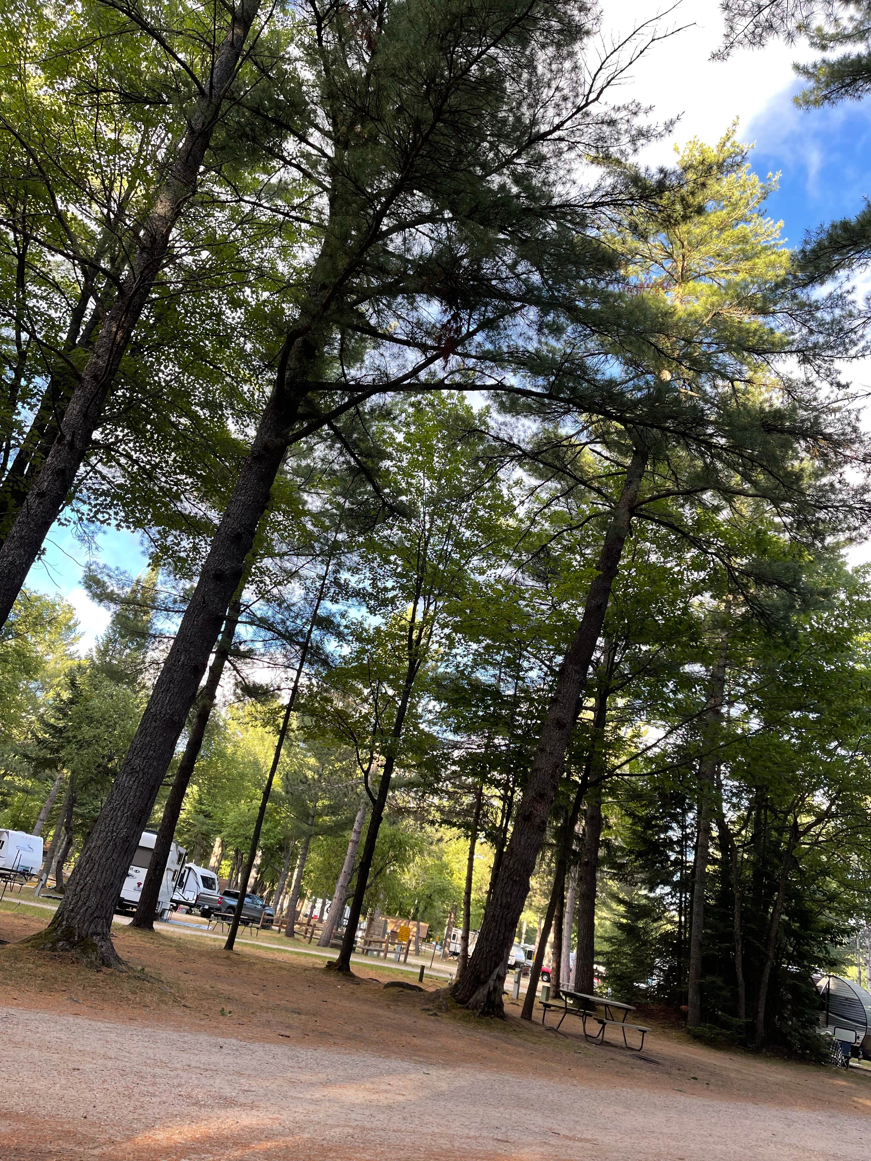 Camper-submitted photo at Gaylord KOA near Gaylord, MI