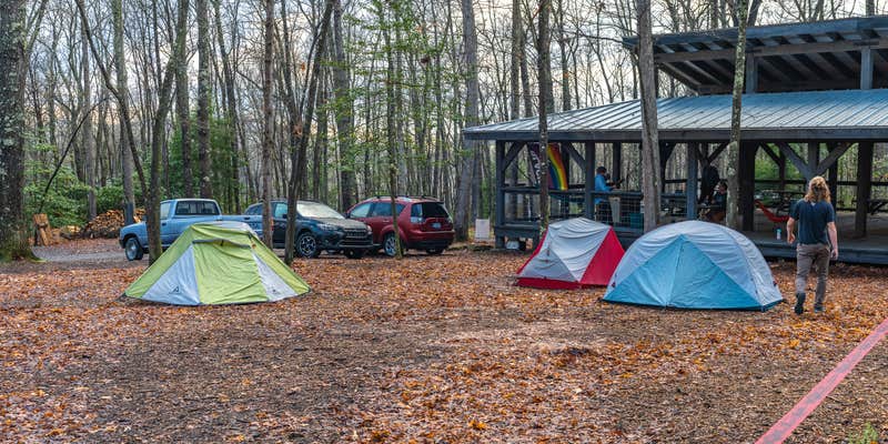 Camper submitted image from New River Gorge Campground - American Alpine Club