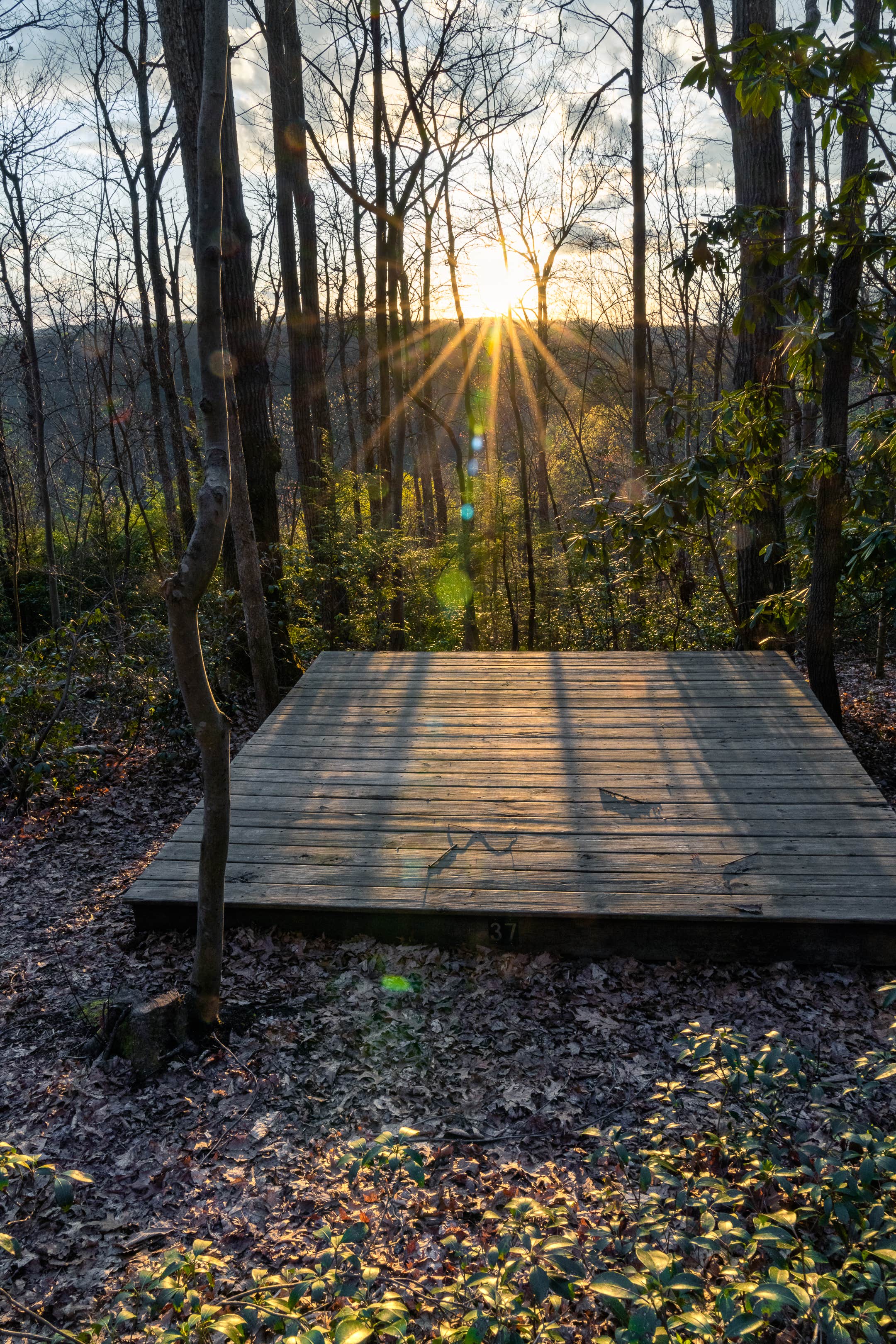 Camper-submitted photo at New River Gorge Campground - American Alpine Club near Edmond, WV