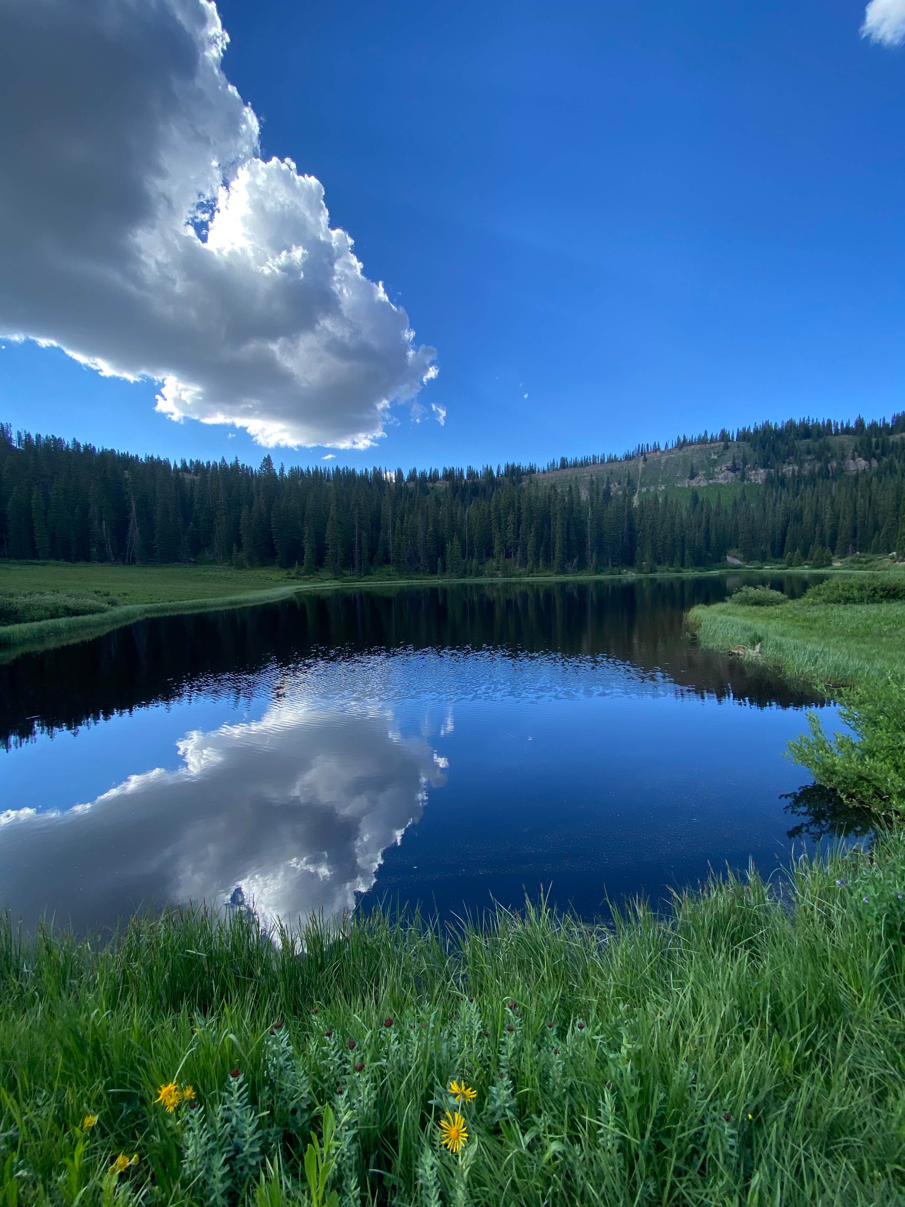 AdventureMo's photo of a dispersed camping area at Hermosa Creek Trailhead - Dispersed Camping near Mesa Verde National Park