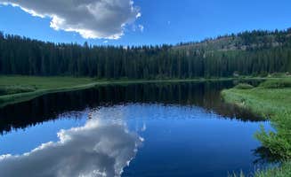 AdventureMo's photo of a dispersed camping area at Hermosa Creek Trailhead - Dispersed Camping in Colorado