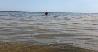 Pinconning County Park