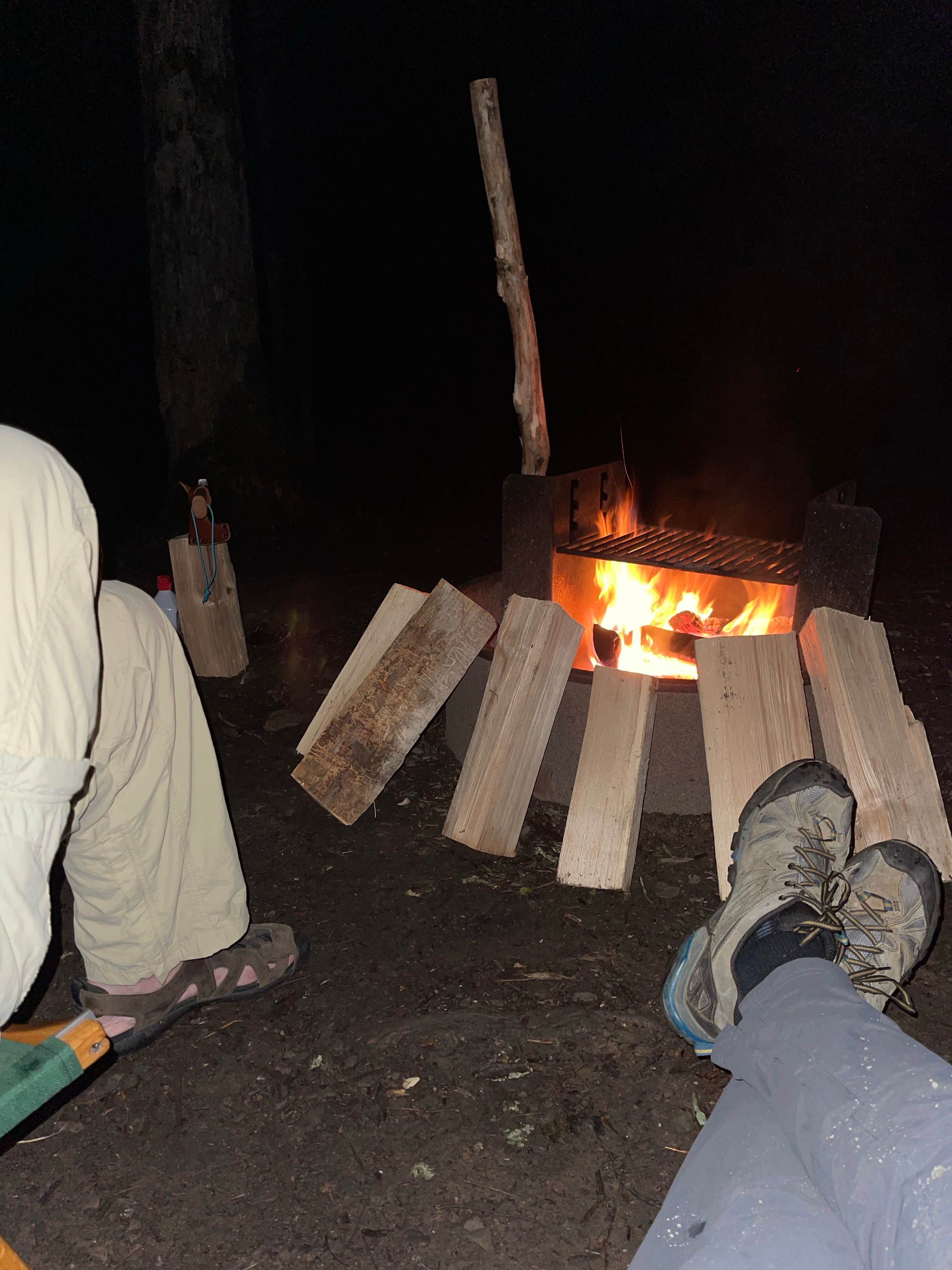 Camper submitted image from Lackawanna State Park Campground - 5