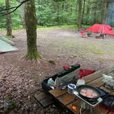 Review photo of Lackawanna State Park Campground by Guy M., July 7, 2021