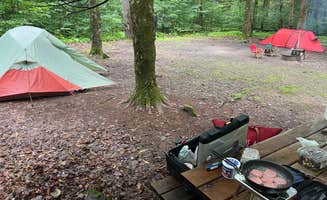 Guy M.'s photo at Lackawanna State Park Campground near Wyoming, PA