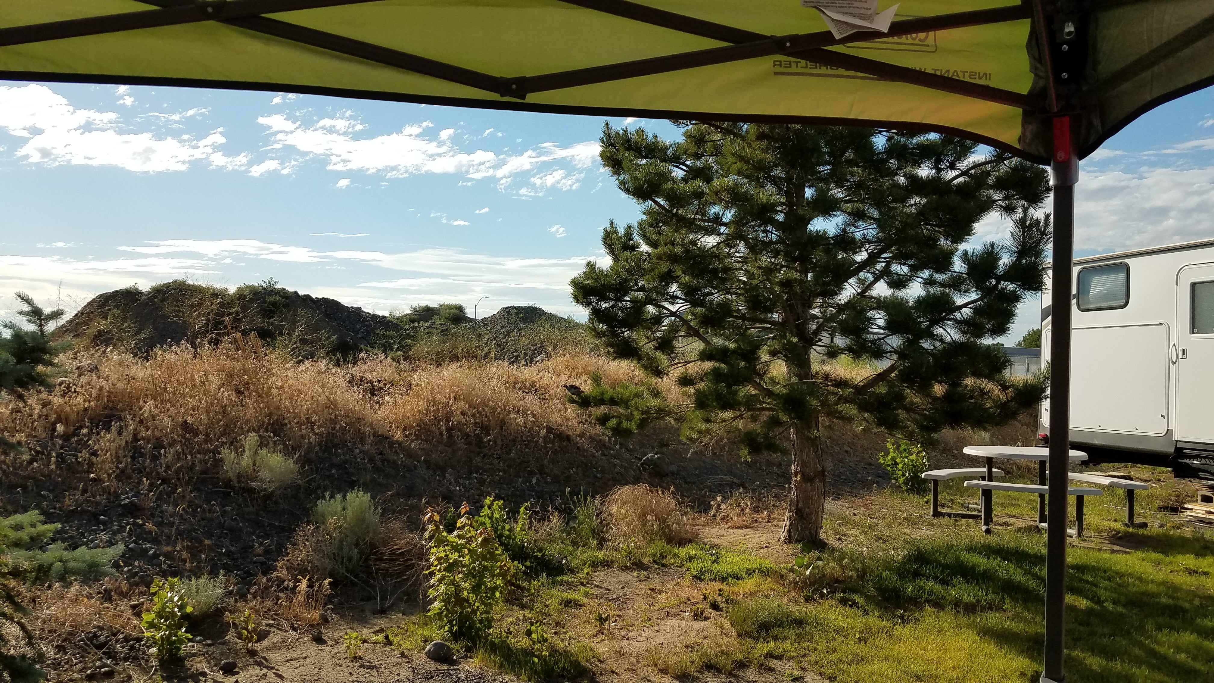 Camper submitted image from Coyote Run RV Park - 1
