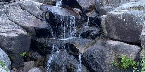 Camper submitted image from Woodchuck Campground