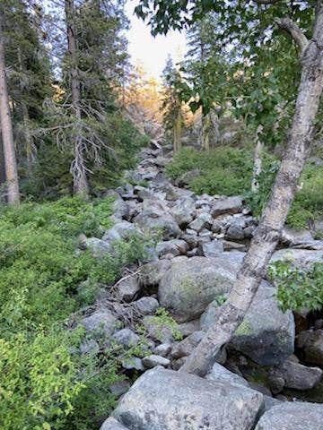 Camper-submitted photo at Woodchuck Campground near Olympic Valley, CA
