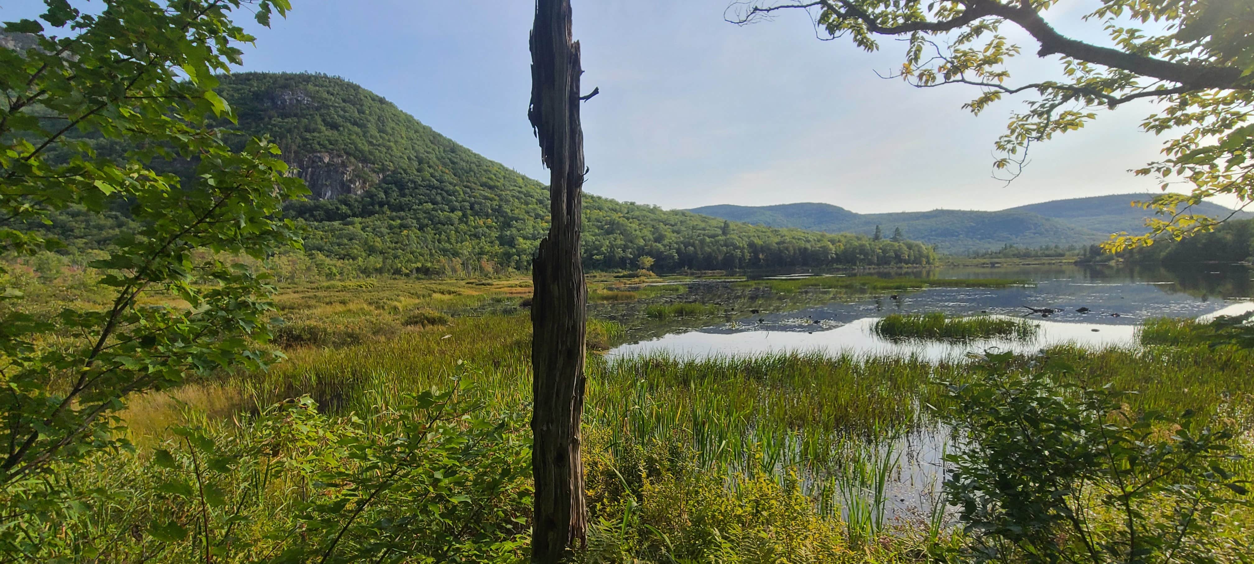 Camper-submitted photo at Basin Campground near North Waterford, ME