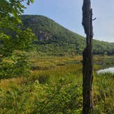 Review photo of Basin Campground by Mim J., July 7, 2021