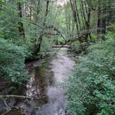 Review photo of Alsea Falls Recreation Site (campground) by James P., July 7, 2021