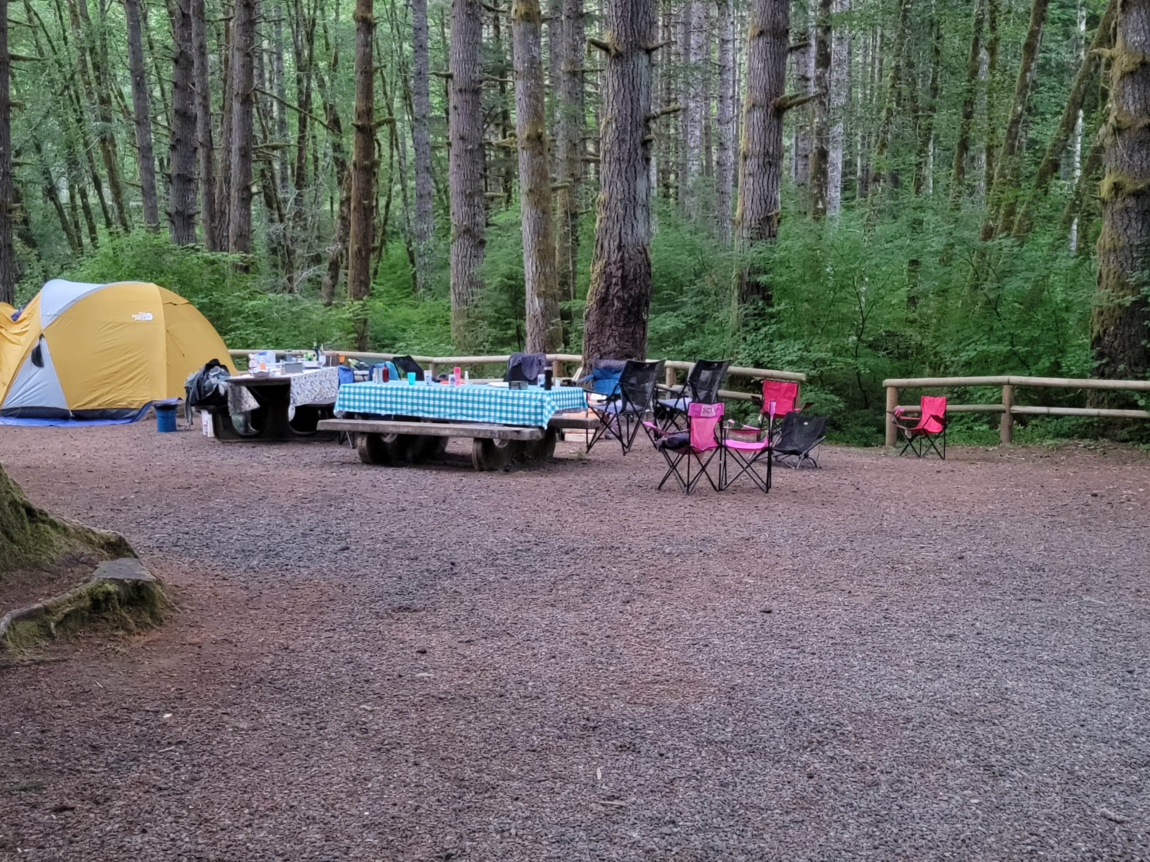 James P.'s photo at Alsea Falls Recreation Site (campground) near Blodgett, OR