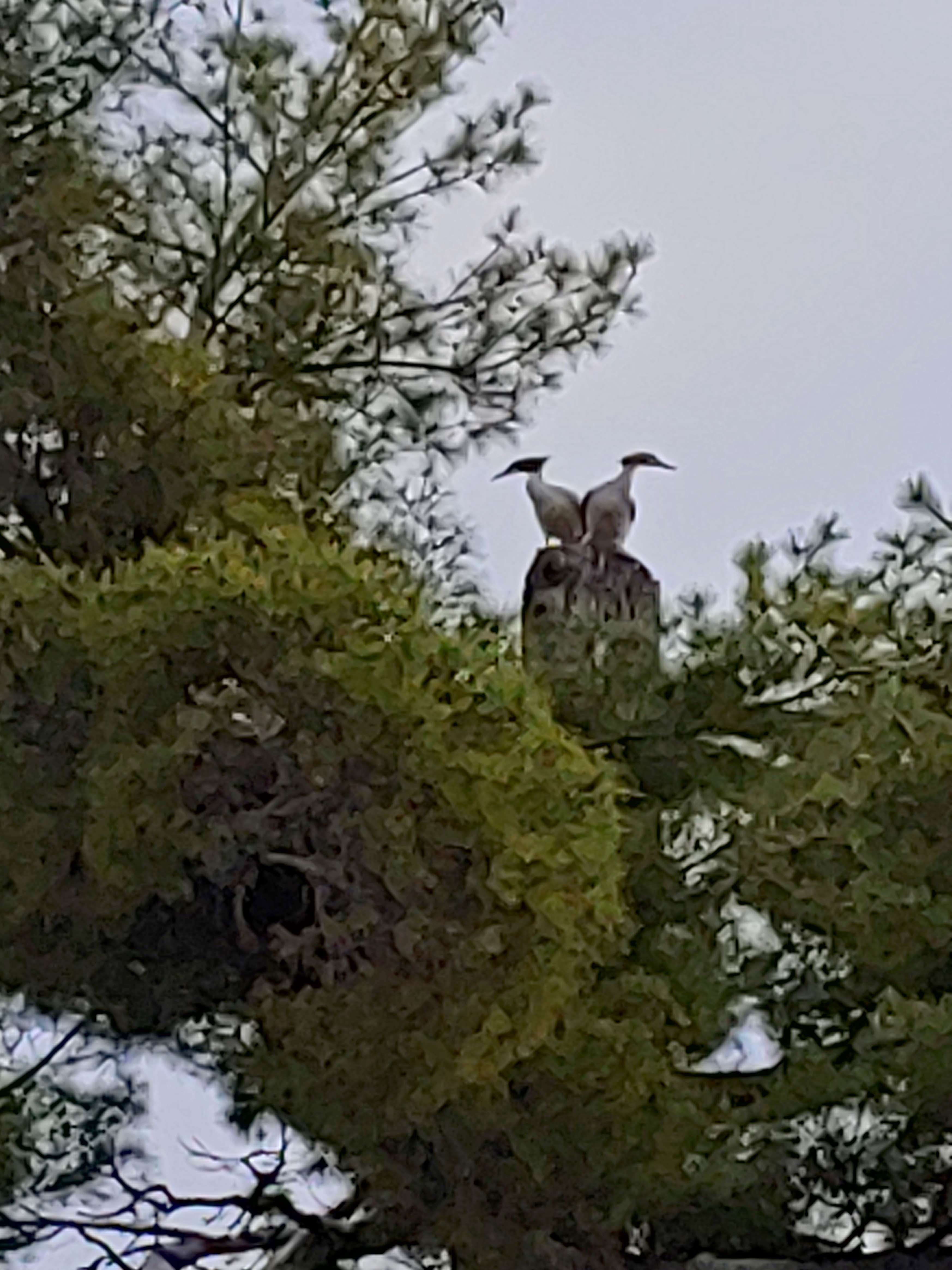 Camper-submitted photo at Gladstone Bay Campground near Nahma, MI