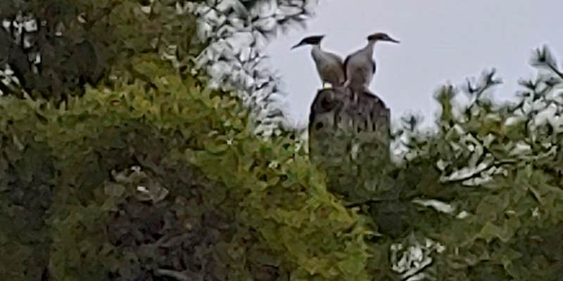 Camper submitted image from Gladstone Bay Campground