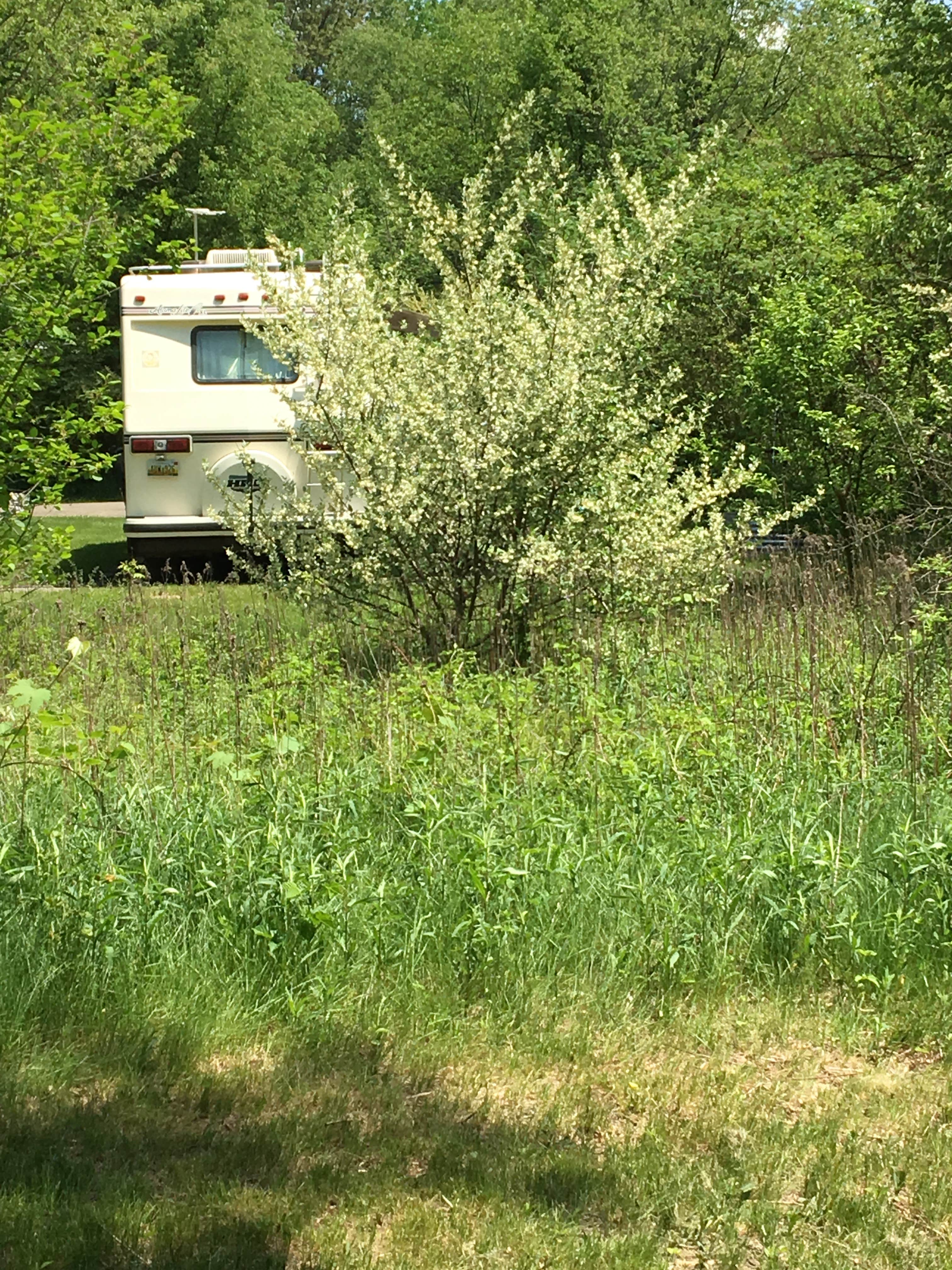 Diana M.'s photo of rv camping at Fort Custer Recreation Area near Augusta, MI