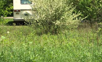 Diana M.'s photo of rv camping at Fort Custer Recreation Area near Battle Creek, MI