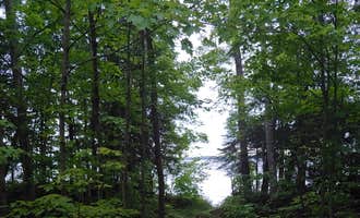Camping near Northland Outfitters: Milakokia Lake State Forest Campground, Gulliver, Michigan
