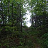 Review photo of Milakokia Lake State Forest Campground by Emily M., July 7, 2021