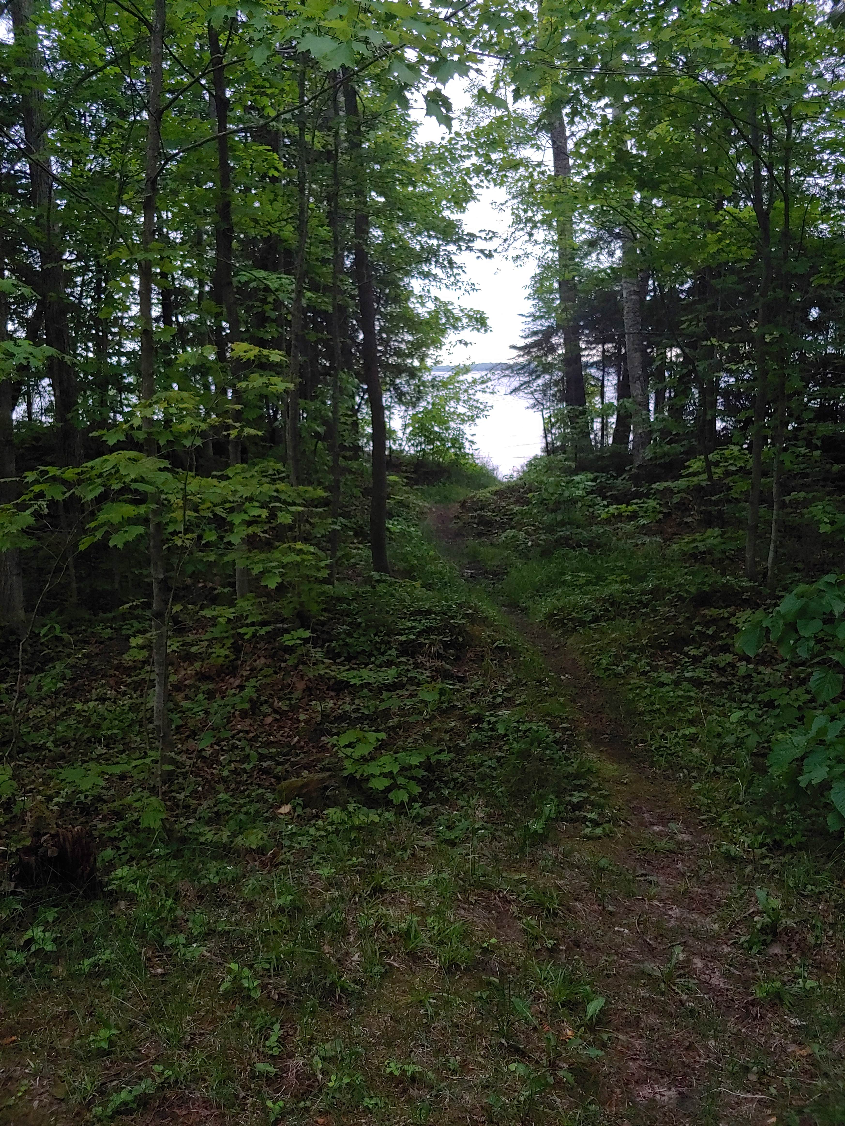 Camper submitted image from Milakokia Lake State Forest Campground - 1