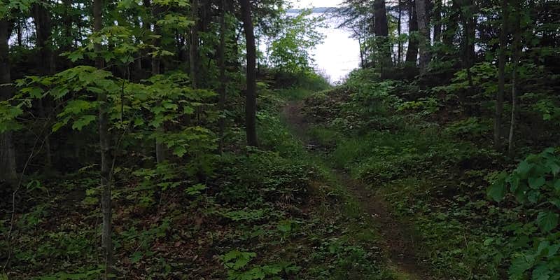 Camper submitted image from Milakokia Lake State Forest Campground