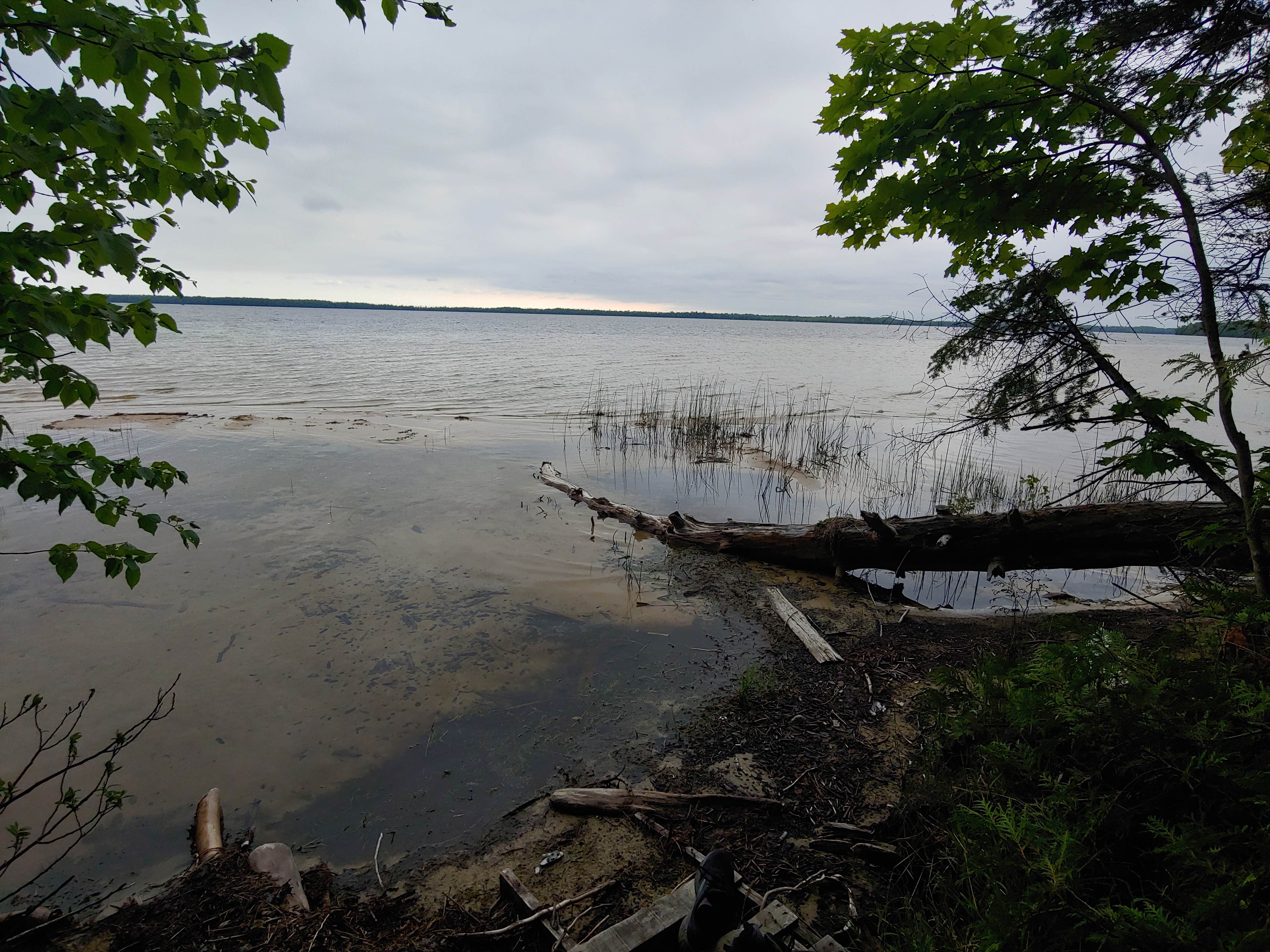 Camper-submitted photo at Milakokia Lake State Forest Campground near Gulliver, MI