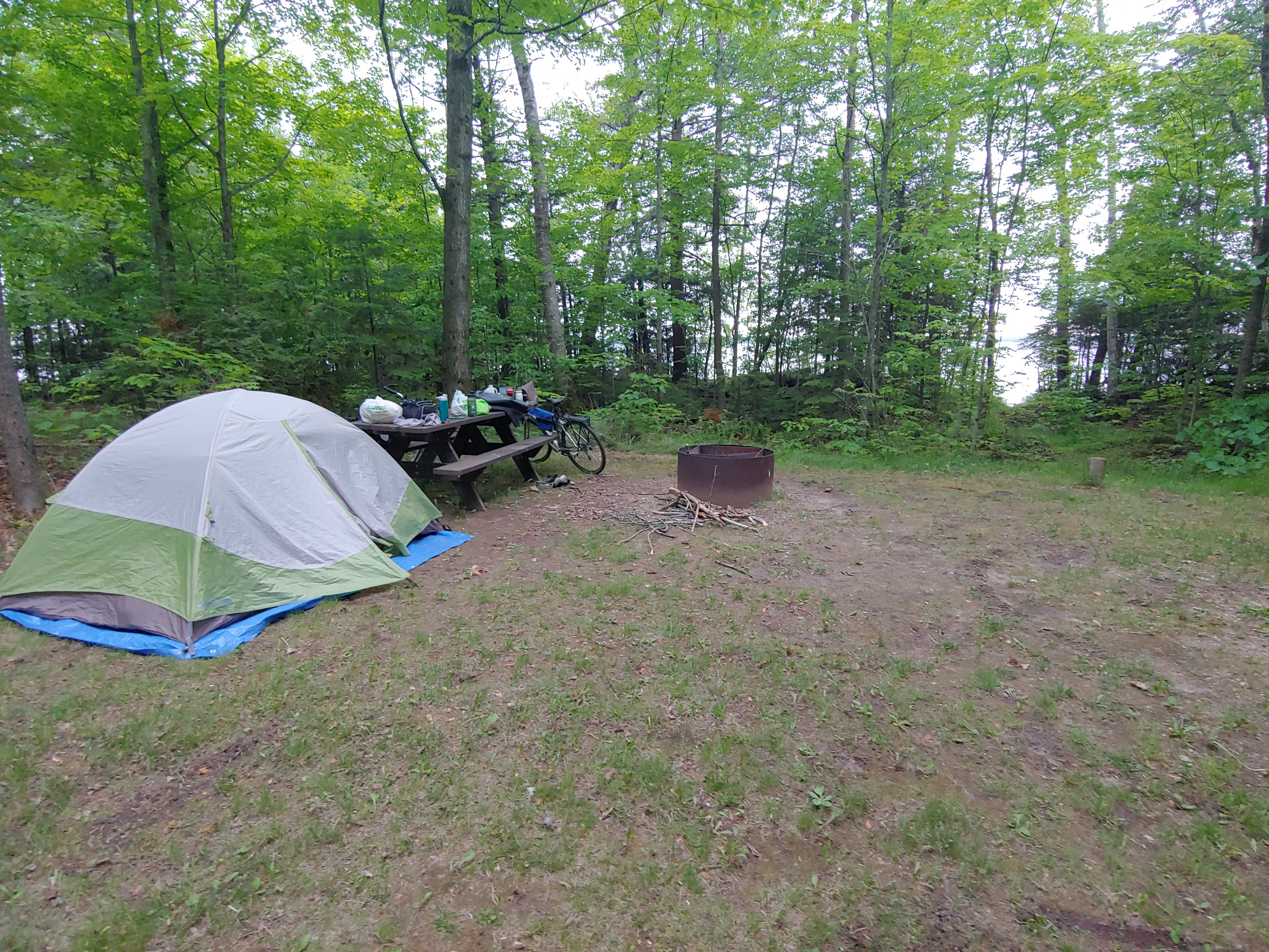 Camper submitted image from Milakokia Lake State Forest Campground - 5