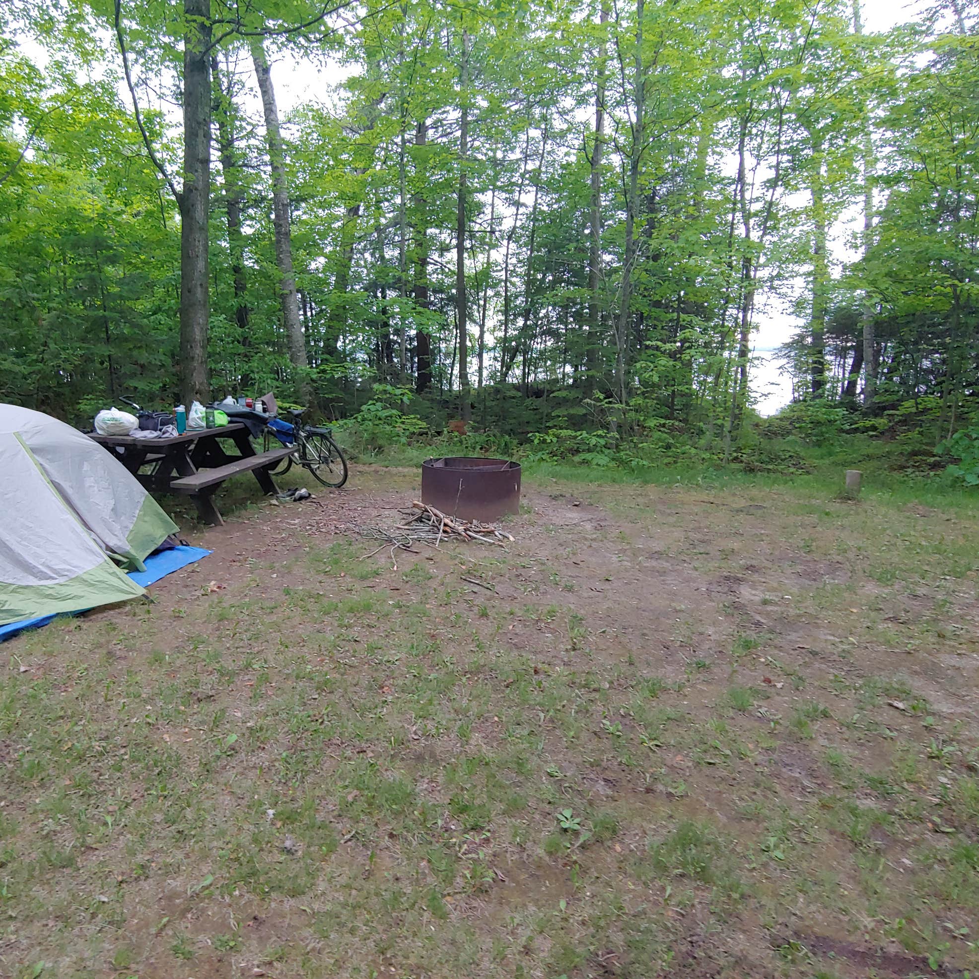 Milakokia Lake State Forest Campground Camping The Dyrt
