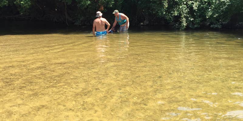 Camper submitted image from Gladwin City Park & Campground