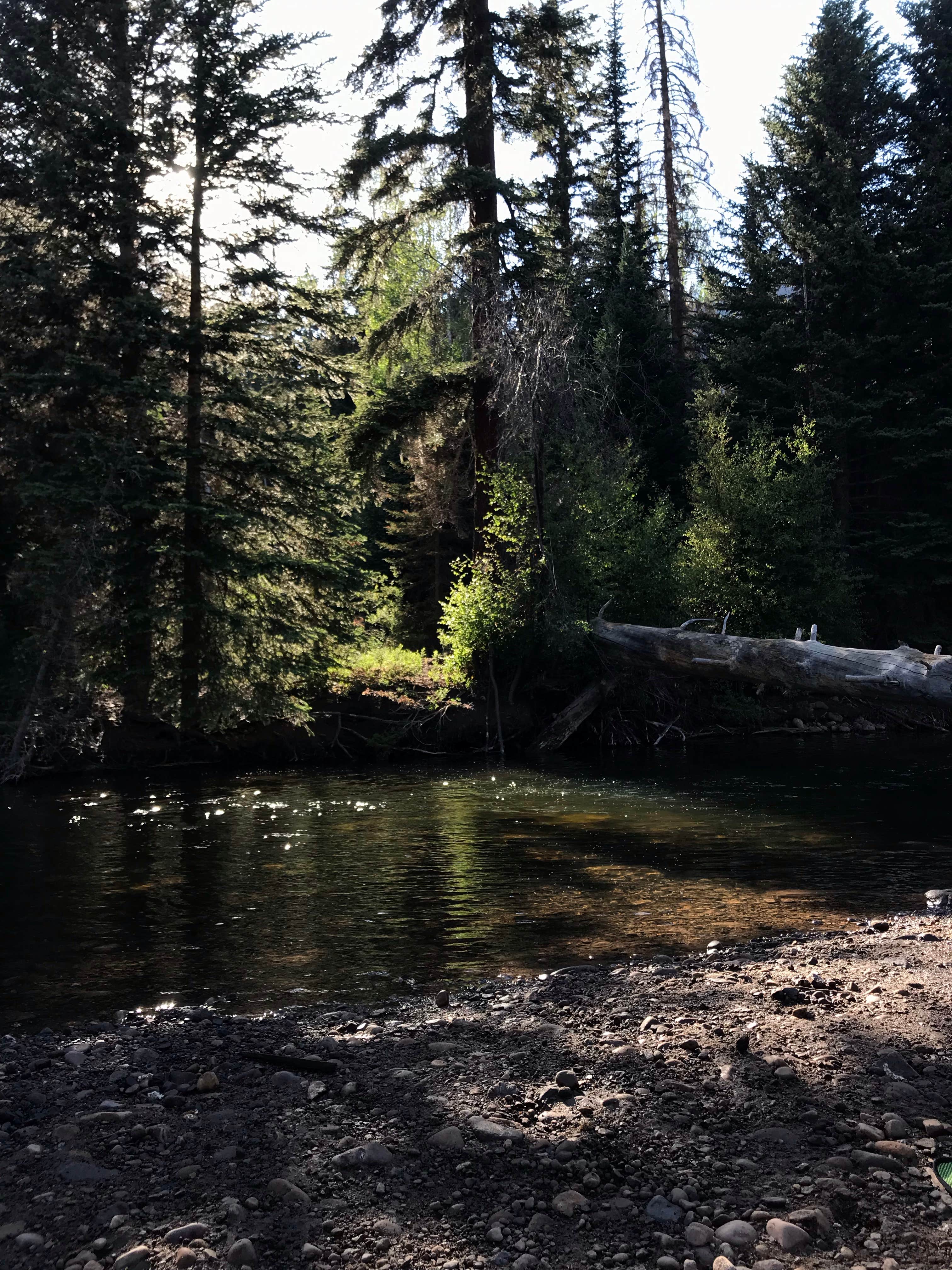 Iron Mine Camping The Dyrt