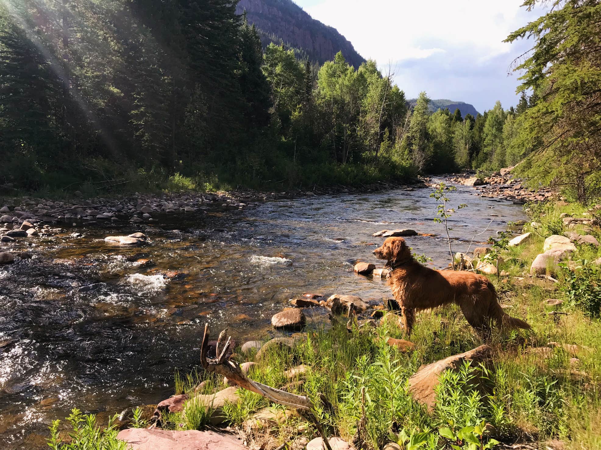 Iron Mine Camping The Dyrt