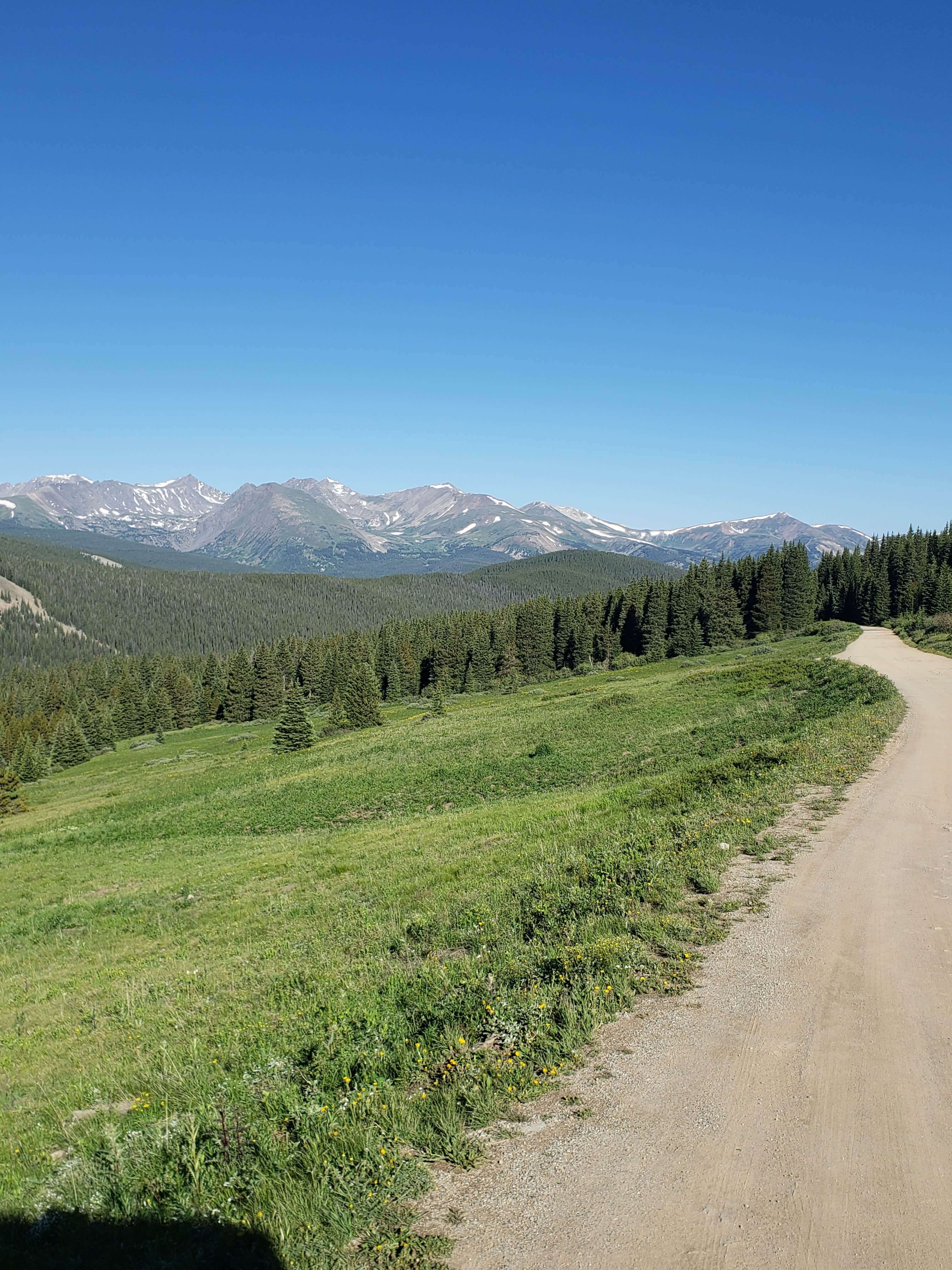 Boreas Pass Roadside Campsites The Dyrt
