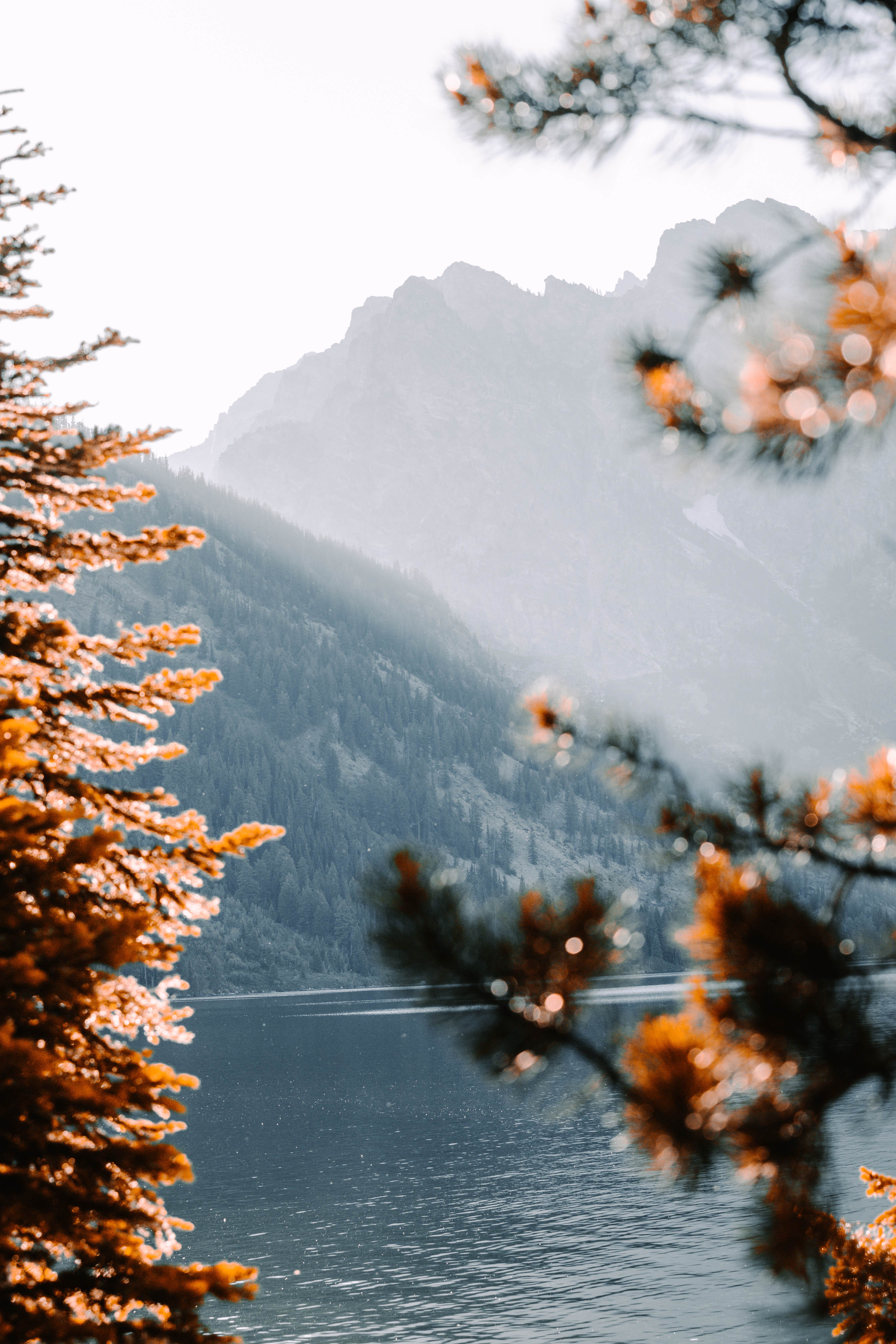 Camper-submitted photo at Jenny Lake Campground — Grand Teton National Park in Wyoming
