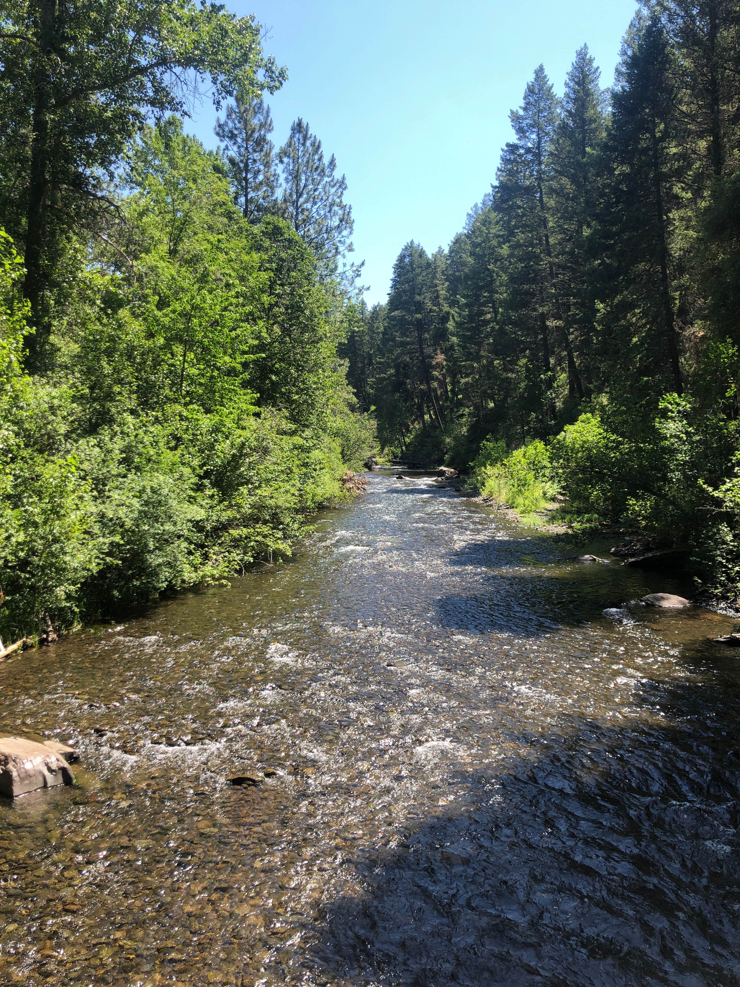 Best camping in Umatilla National Forest The Dyrt