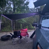 Review photo of Lake Louisa State Park Campground by Joshua W., July 7, 2021