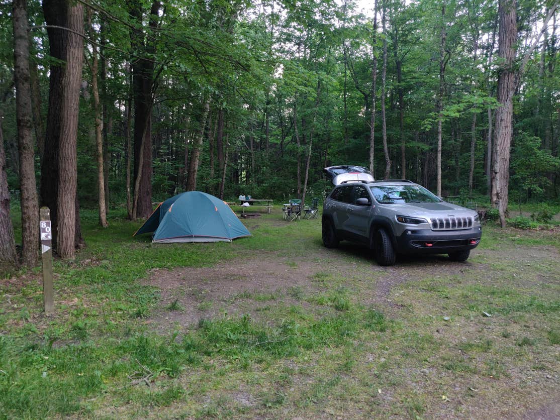 Chenango Valley The Dyrt