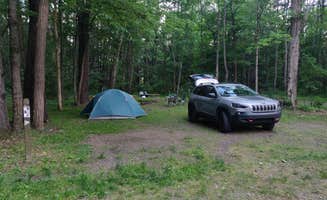 Cassandra C.'s photo at Chenango Valley State Park Campground near Chenango Forks, NY
