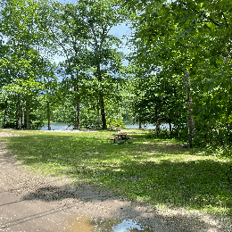 Sutton Falls Camping Area
