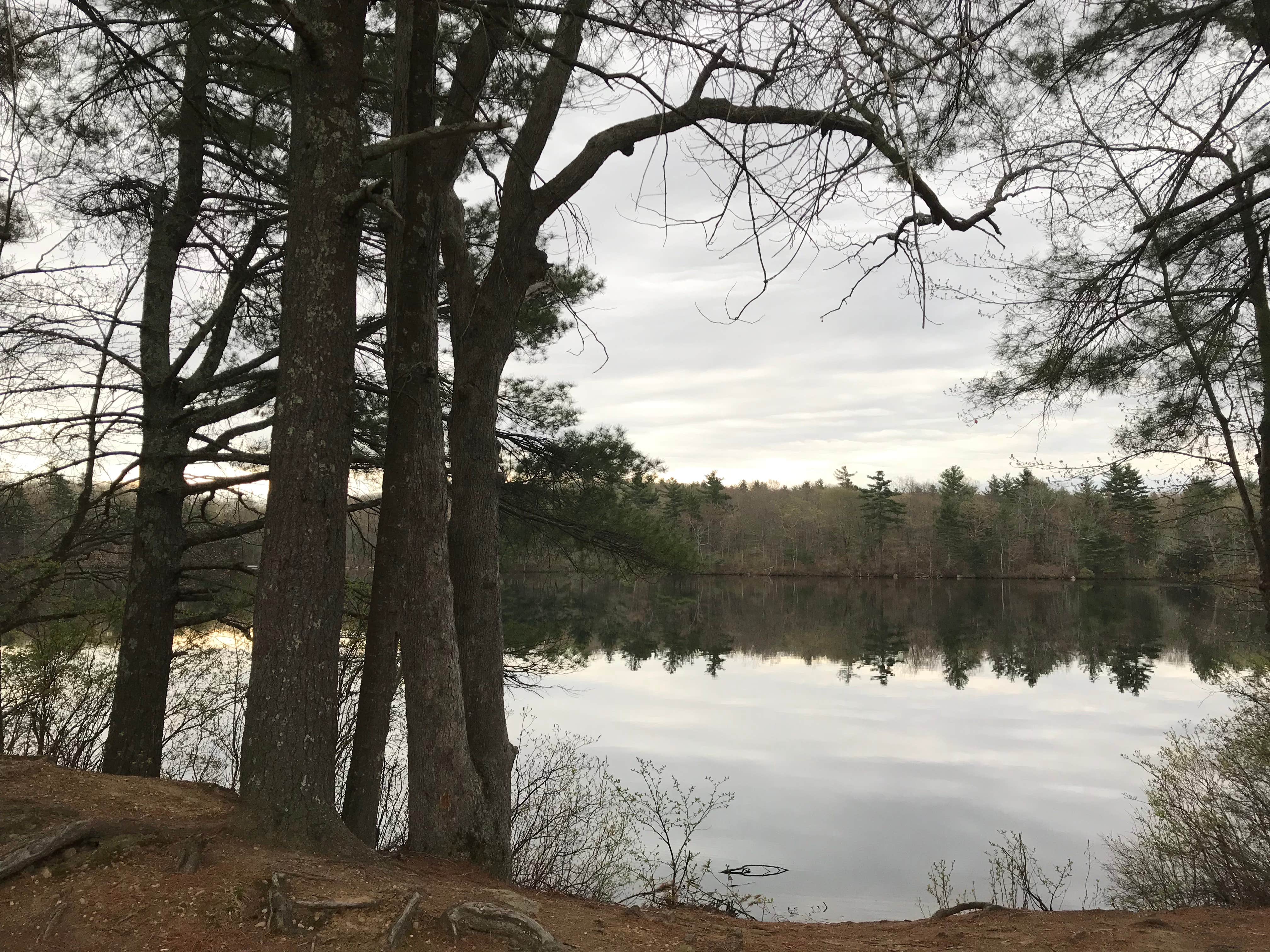 Camping near George Washington State Campground: Buck Hill Campground, Thompson, Rhode Island