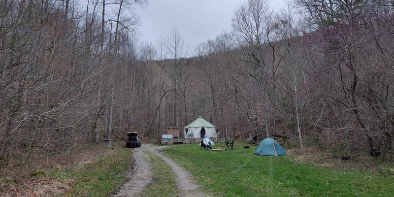 Camper submitted image from HomeGrown HideAways