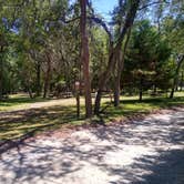 Review photo of General Coffee State Park Campground by Rachel G., July 7, 2021